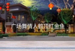 广场舞情人鹤顶红金鱼