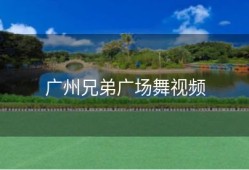 广州兄弟广场舞视频