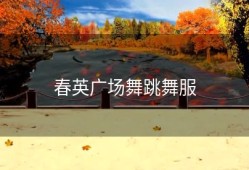 春英广场舞跳舞服