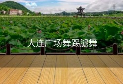 大连广场舞踢腿舞