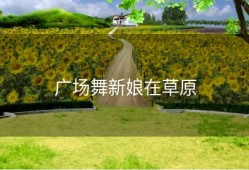 广场舞新娘在草原