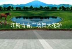 江铃青春广场舞大花轿