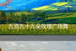 九百九十九朵玫瑰广场舞