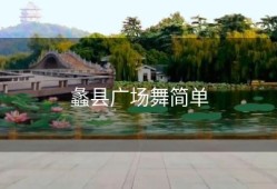 蠡县广场舞简单