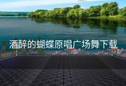 酒醉的蝴蝶原唱广场舞下载