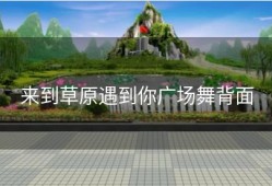 来到草原遇到你广场舞背面