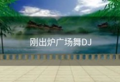 刚出炉广场舞DJ