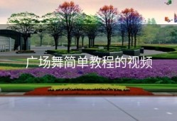 广场舞简单教程的视频