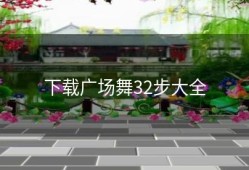 下载广场舞32步大全