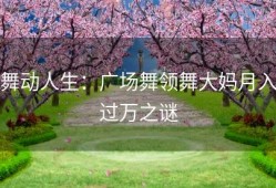 舞动人生：广场舞领舞大妈月入过万之谜