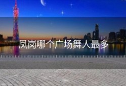 凤岗哪个广场舞人最多