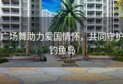 广场舞助力爱国情怀，共同守护钓鱼岛