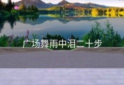 广场舞雨中泪二十步