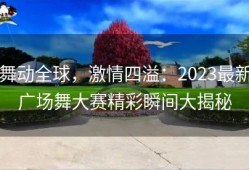 舞动全球，激情四溢：2023最新广场舞大赛精彩瞬间大揭秘