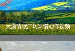 大漠情歌广场舞慢动作视频