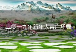 二零一九年新年大吉广场舞