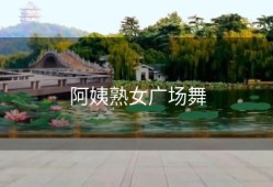 阿姨熟女广场舞