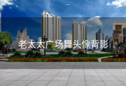 老太太广场舞头像背影