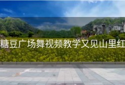 糖豆广场舞视频教学又见山里红