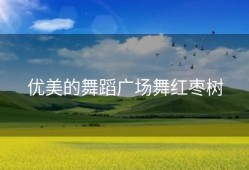 优美的舞蹈广场舞红枣树