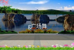 g广场舞