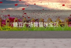 糖豆广场舞猫咪宝贝