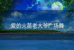 爱的火苗老大爷广场舞