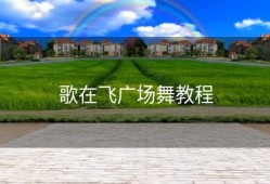 歌在飞广场舞教程