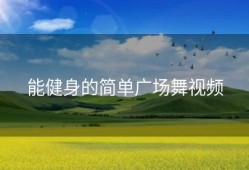 能健身的简单广场舞视频