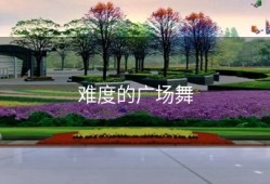 难度的广场舞