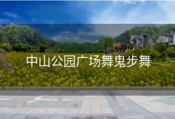 中山公园广场舞鬼步舞