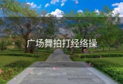广场舞拍打经络操