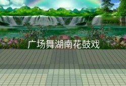 广场舞湖南花鼓戏