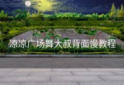 凉凉广场舞大叔背面慢教程