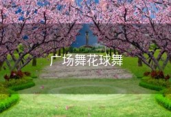 广场舞花球舞