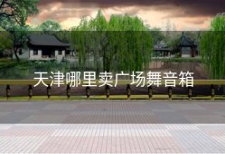 天津哪里卖广场舞音箱