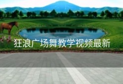 狂浪广场舞教学视频最新