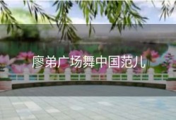 廖弟广场舞中国范儿
