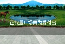 正能量广场舞为爱付出