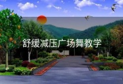 舒缓减压广场舞教学
