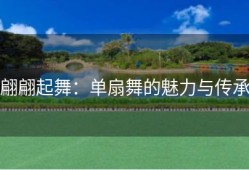 翩翩起舞：单扇舞的魅力与传承
