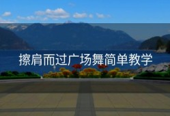 擦肩而过广场舞简单教学