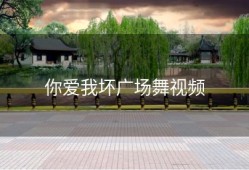 你爱我坏广场舞视频