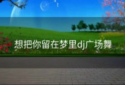 想把你留在梦里dj广场舞