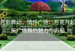 月影舞动，情怀广场：月亮升起来广场舞的魅力与内涵