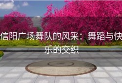 信阳广场舞队的风采：舞蹈与快乐的交织