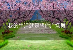 我的生活就是想你广场舞