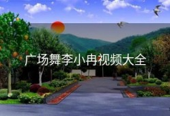 广场舞李小冉视频大全