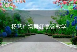 杨艺广场舞红高粱教学
