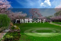 广场舞爱火叶子